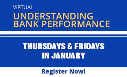 Understanding Bank Performance